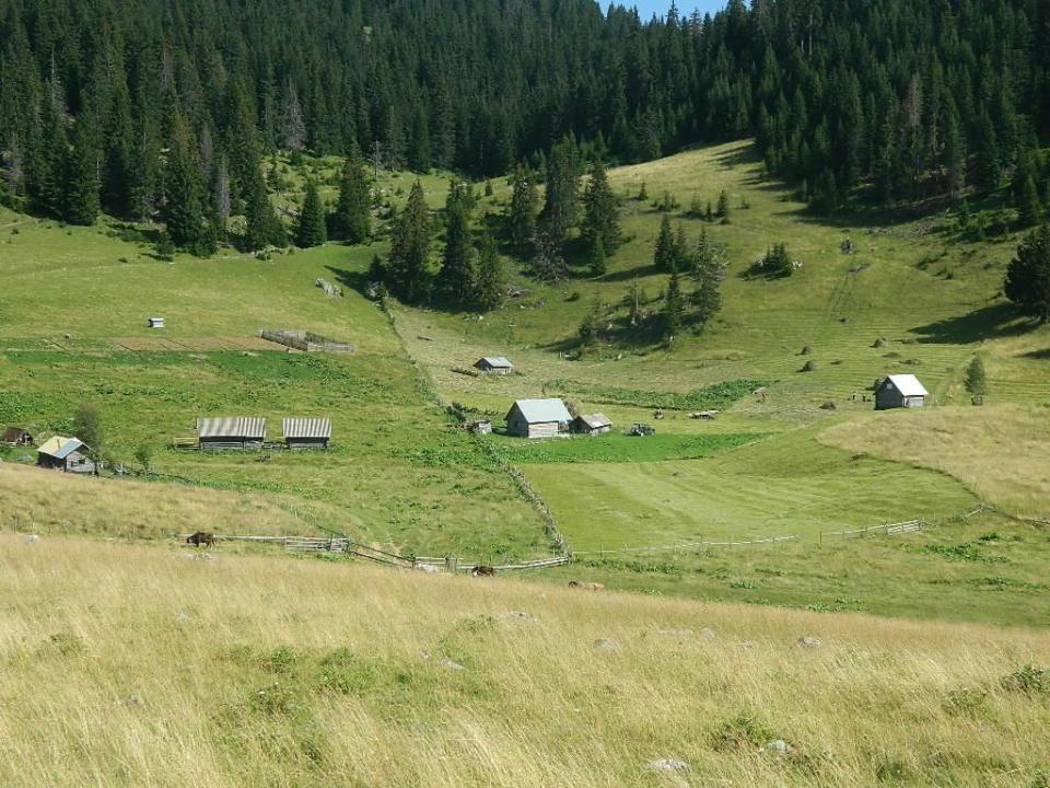Da je na području opštine Andrijevica sve manje onih koji pokazuju želju da se bave stočarstvom, svjedoče brojni katuni u podnožju Komova i Prokletija.