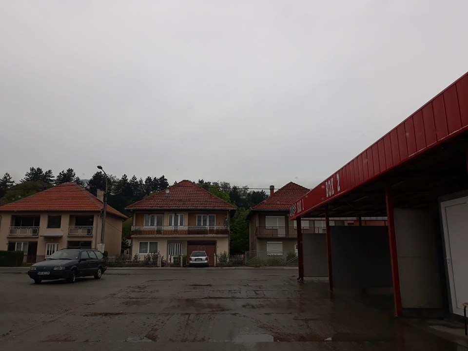 na slici se nalaze kuce