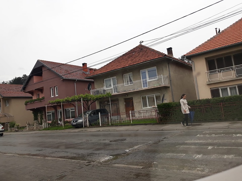 na slici se nalaze kuce