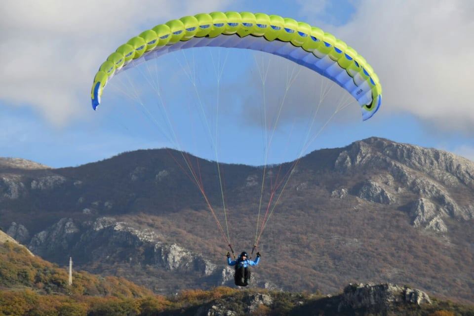 Gledati ono što ptice gledaju svakog dana