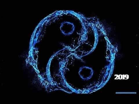 Ribe pripazite na krug prijatelja