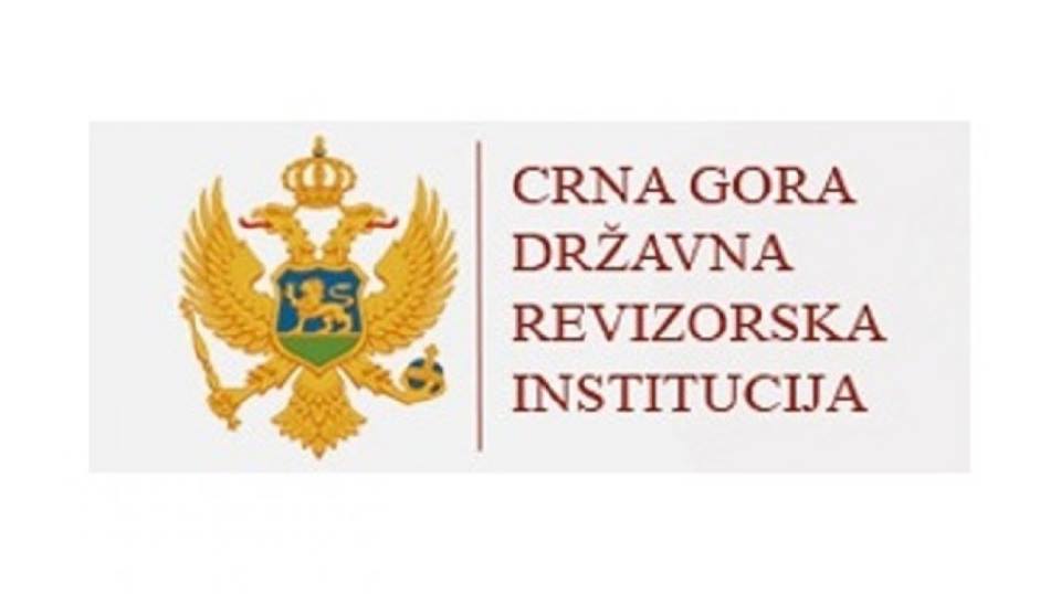 drzavna revizorska institucija