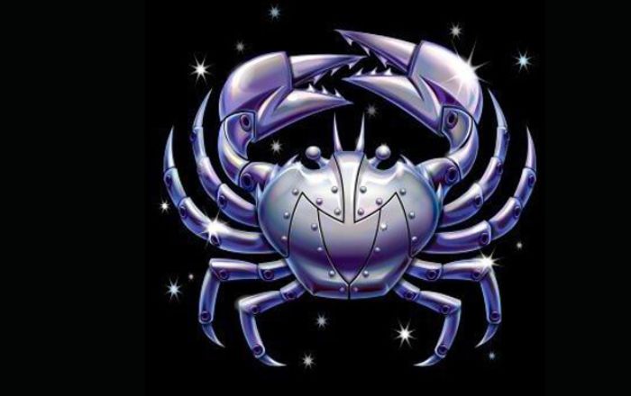 Na slici se nalazi rak