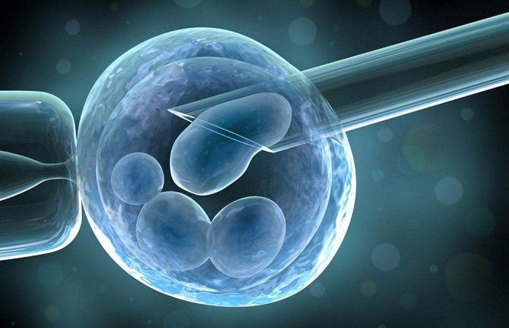 vantjelesna oplodnja