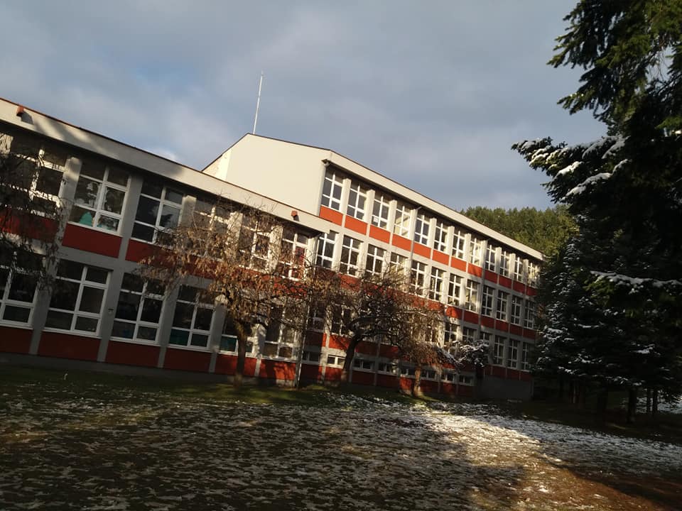 OŠ Radomir Mitrović 3