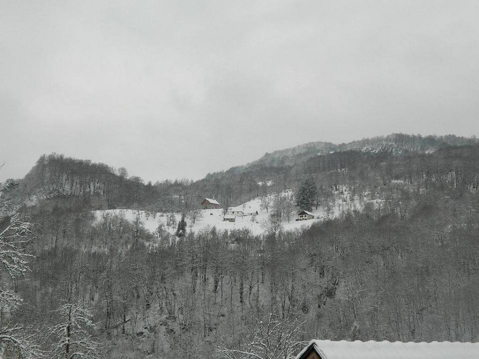 Uzalud fakultetske diplome kad posla nema