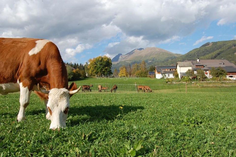 Za poljoprivredu budžet uvećan za 50 odsto