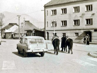 Priča o Baliji, vozaču autobusa