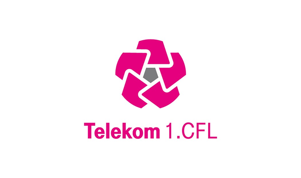 Telekom Prva crnogorska fudbalska liga