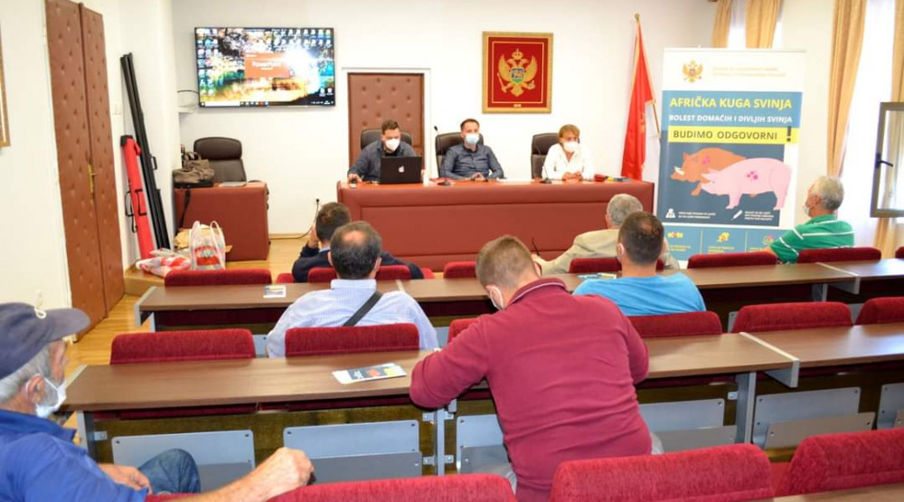 Uprava za bezbjednost hrane, afrička kuga, svinje