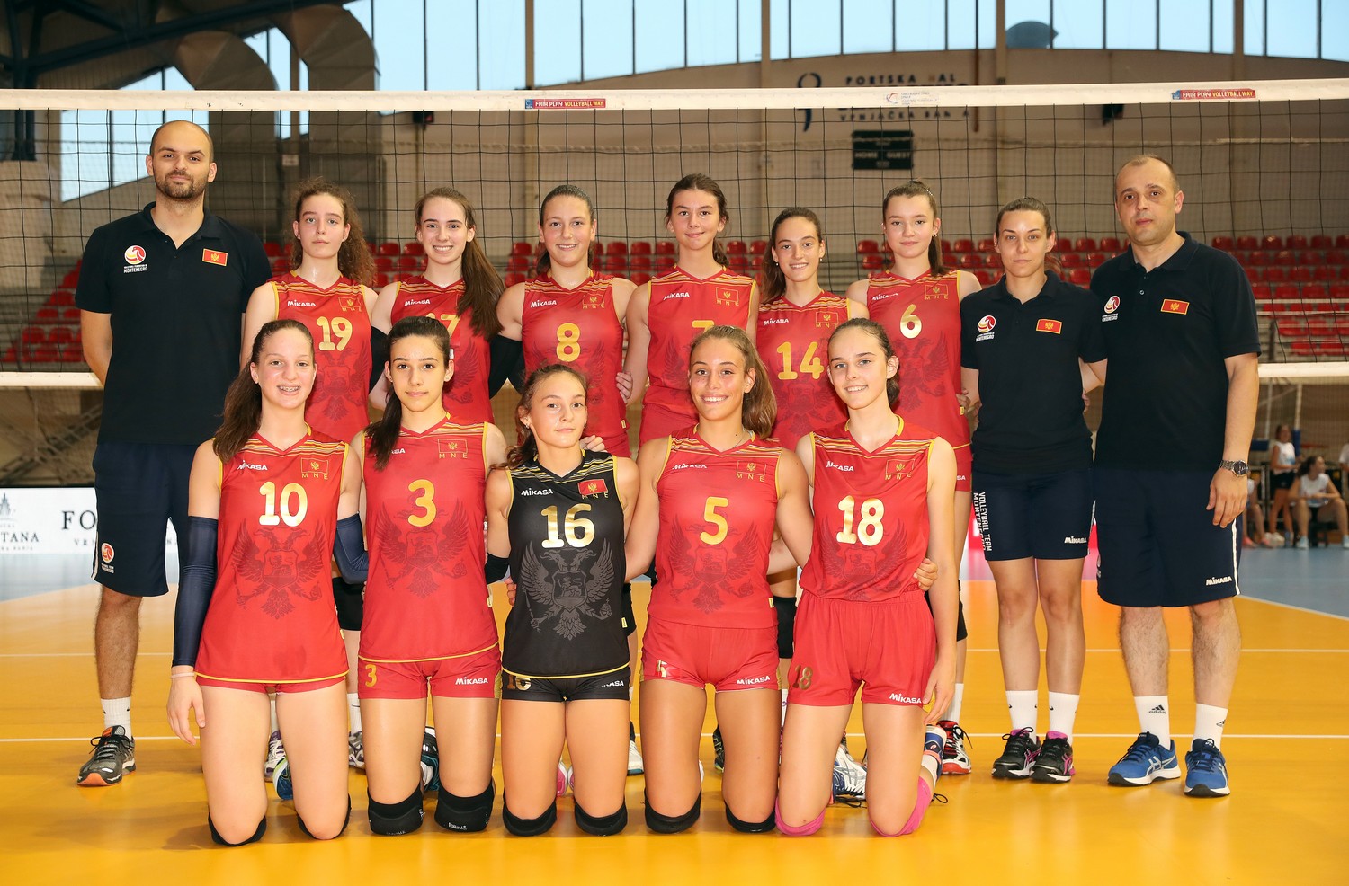 Zlatko Ćaćić, odbojka, reprezentacija