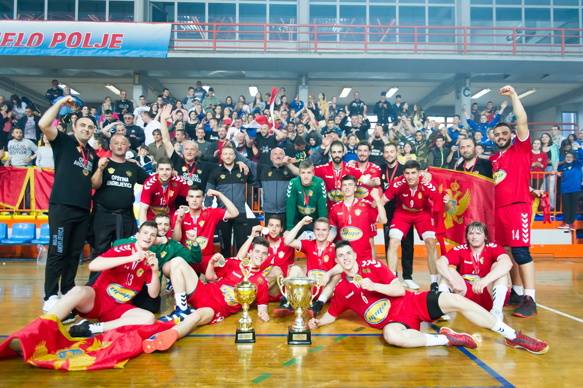 Nemanja Marsenić: Mladi, bavite se sportom