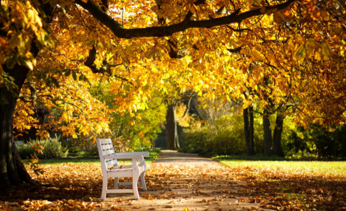 Daliborka Gojković Bajčeta, prognoza,