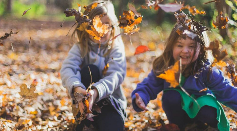 pexels-photo-1582736-1200x564-1-1000x555