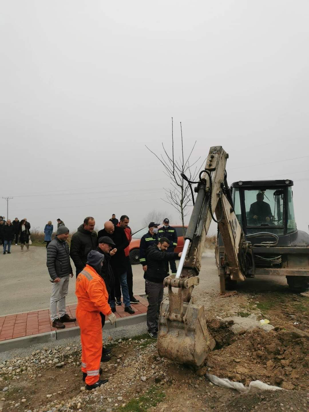 Jasikovac, nova stabla