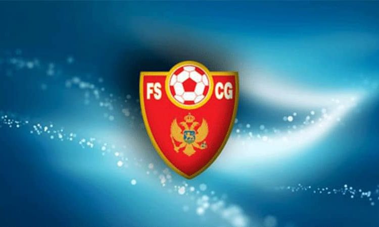 fscg, evropska licenca