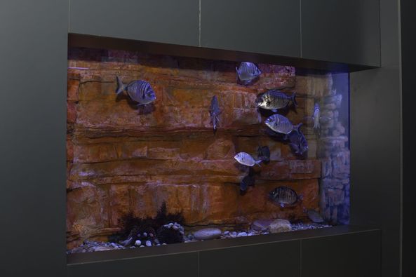 Prvi crnogorski javni akvarijum