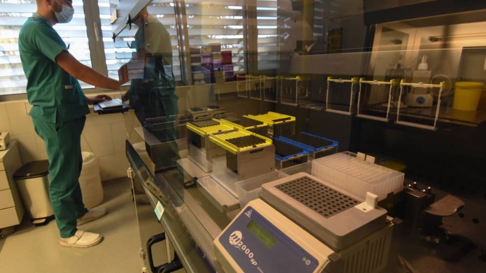 ijz, korona, novi slučajevi