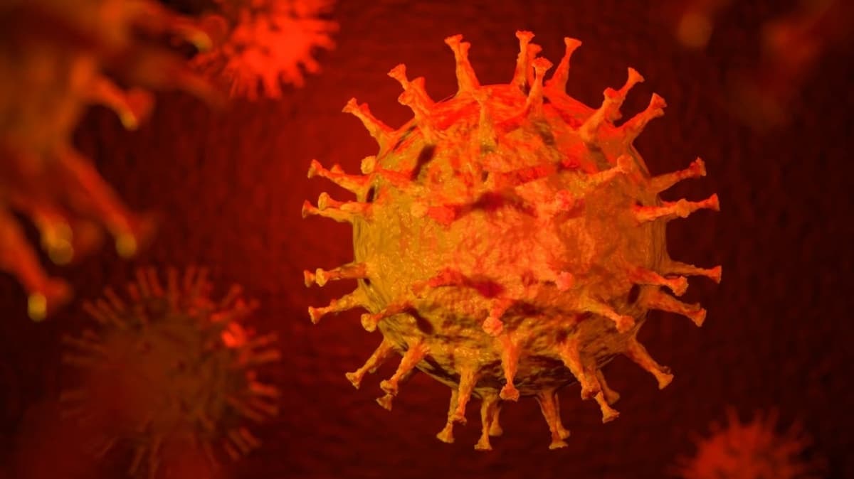 Infekcija korona virusom