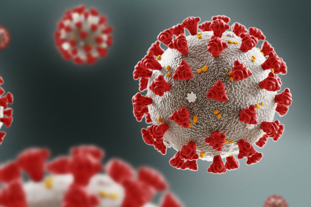 Novooboljeli u Crnoj Gori