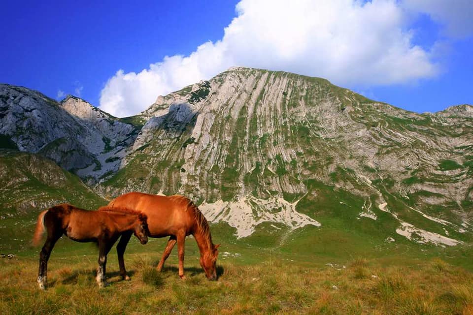 Vidikovac sa Prutaša, Žabljak