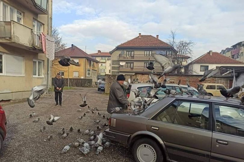 Ivangrađanin koji svako jutro hrani golubove