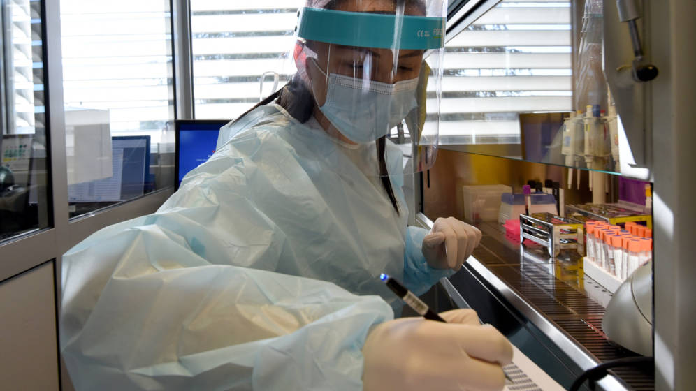 ijz, novi slucajevi, korona