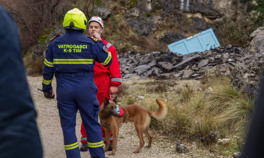 Novski vatrogasci , spasioci ,K-9 tim, Reks