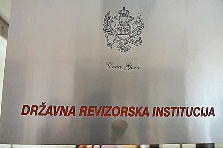 državna revizorska institucija