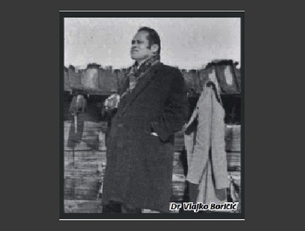 Dr Vlajko Boričić