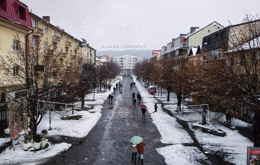 beranci ne pridaju pažnju danu zaljubljenih