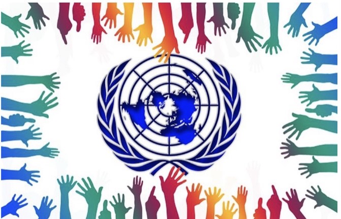 Svjetski dan socijalne pravde, Marina Medojević