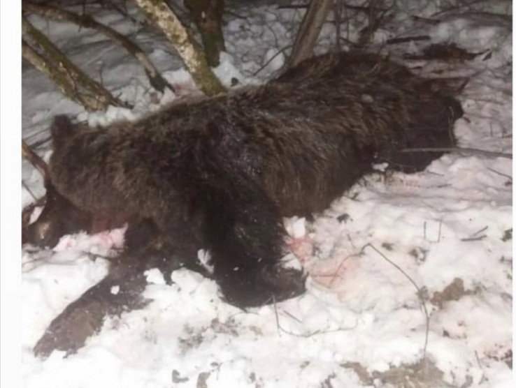 30 dana zatvora za lovce