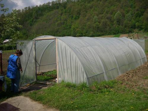 u toku slanje zahtjeva za plastenike