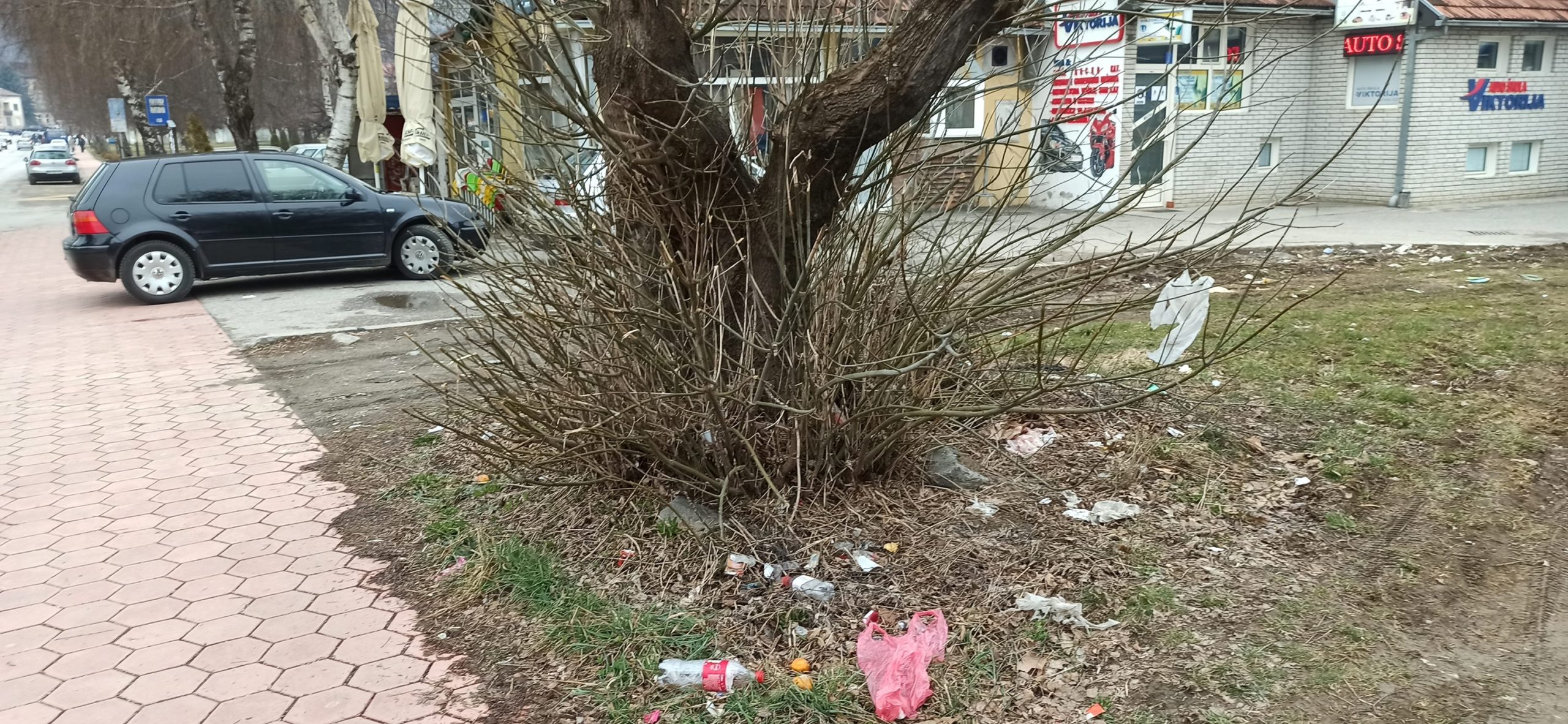 drvo ukrašeno smećem