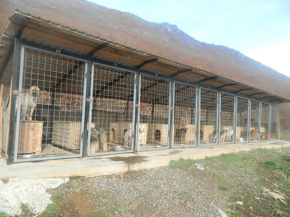 Otvaranjem prihvatilišta riješeno pitanje pasa lutalica