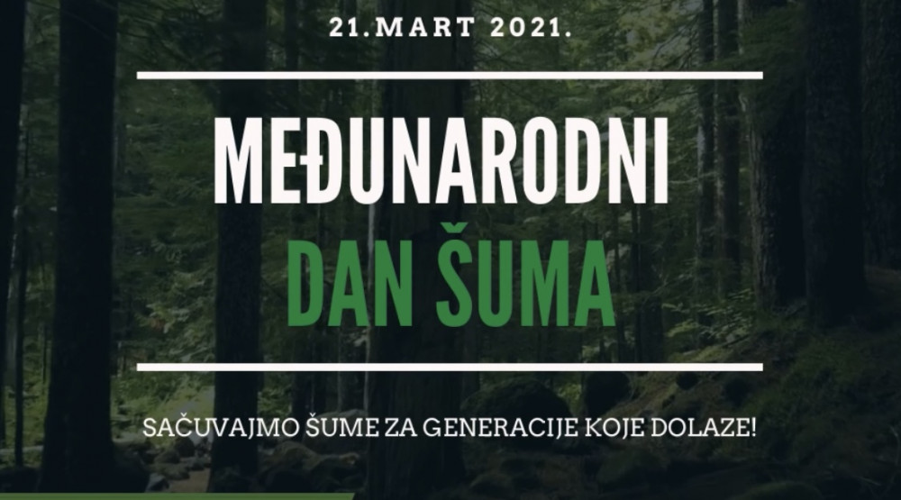 21. mart Svjetski dan šuma, drveća i sadnje, Ministarstvo poljoprivrede šumarstva i vodoprivrede