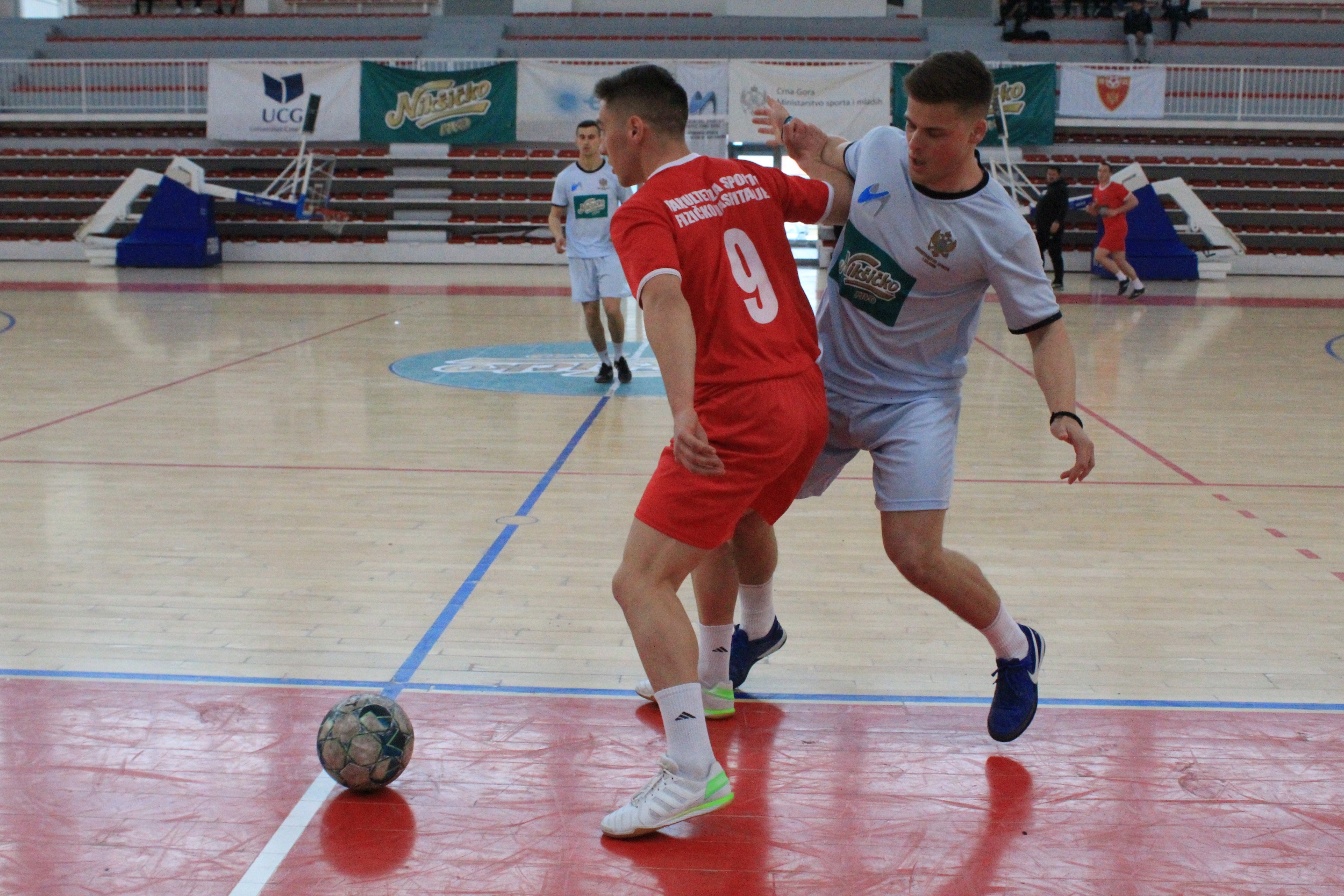 studentska liga, futsal