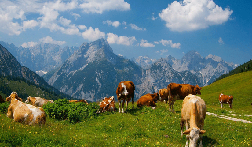 predaja zahtjeva za premije