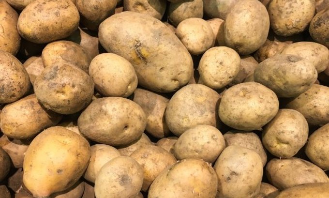 krompir, domaće tržište