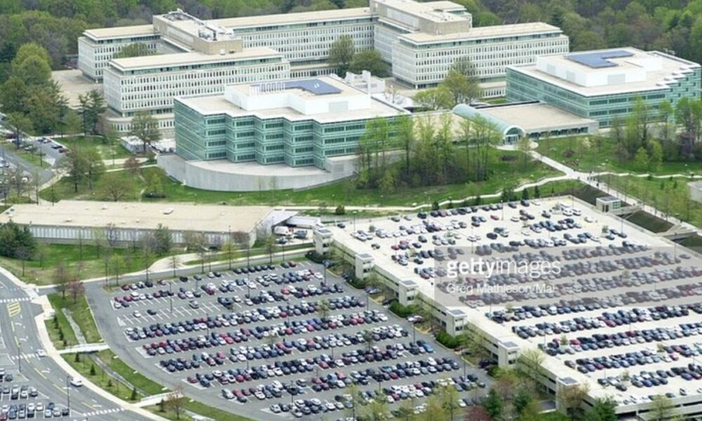 Vlada CRne Gore, prepreke, investitori, CIA