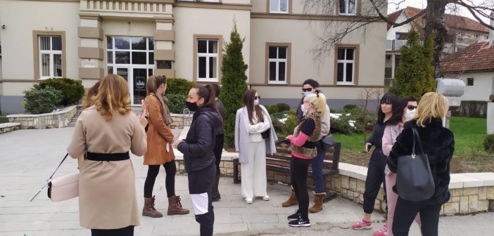 protest, berane, majke, škole