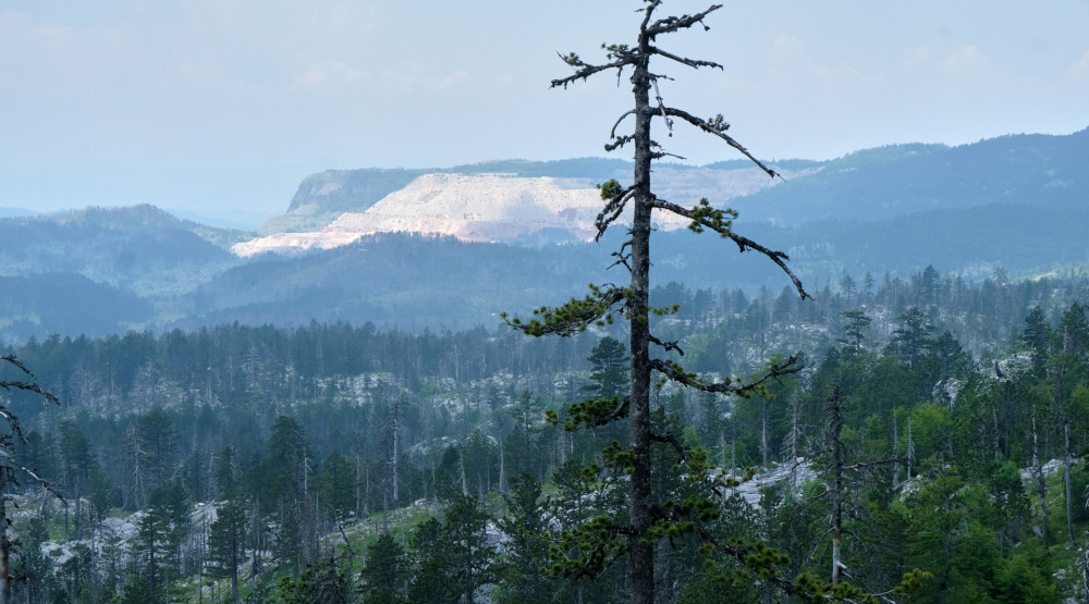 Crnogorsko društvo ekologa CDE, Crna Gora, istraživanja