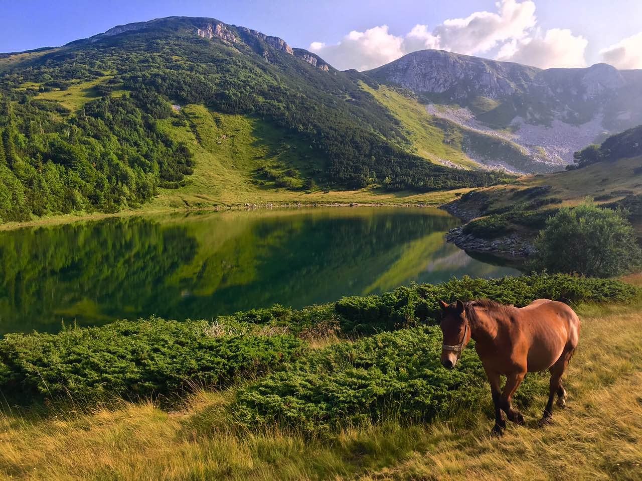 Javni poziv, seosski turizam, Berane