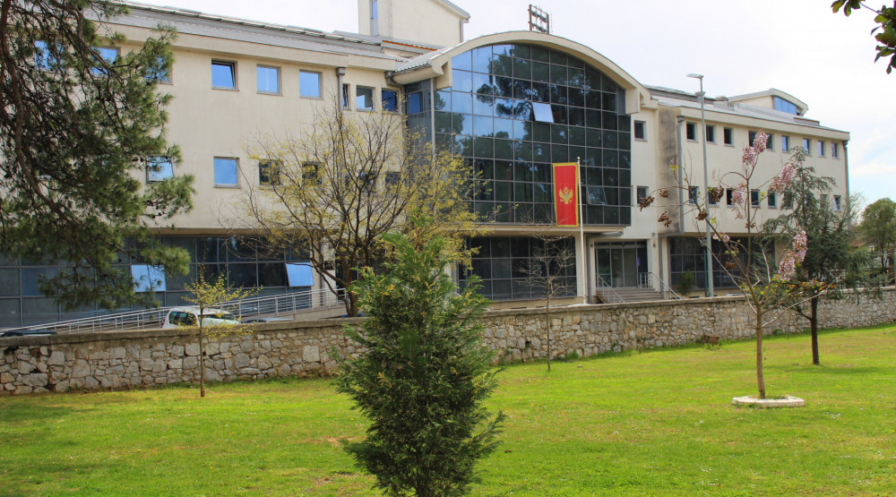 Vesne Bratić ,Sindikat prosvjete Crne Gore, radnici,