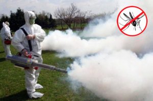 Opština Berane: Sjutra veče planirano zaprašivanje komaraca