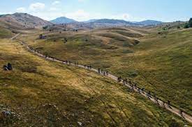 Sinjavinski biciklistički maraton