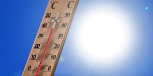 Meteo Berane: Sunčano i toplo