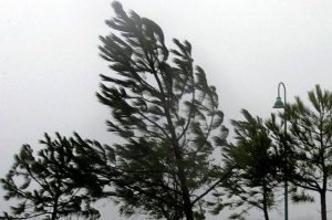 Meteo: Sunčano uz pojačan sjeverni vjetar