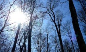 Meteo: Sunčano uz umjerenu oblačnost